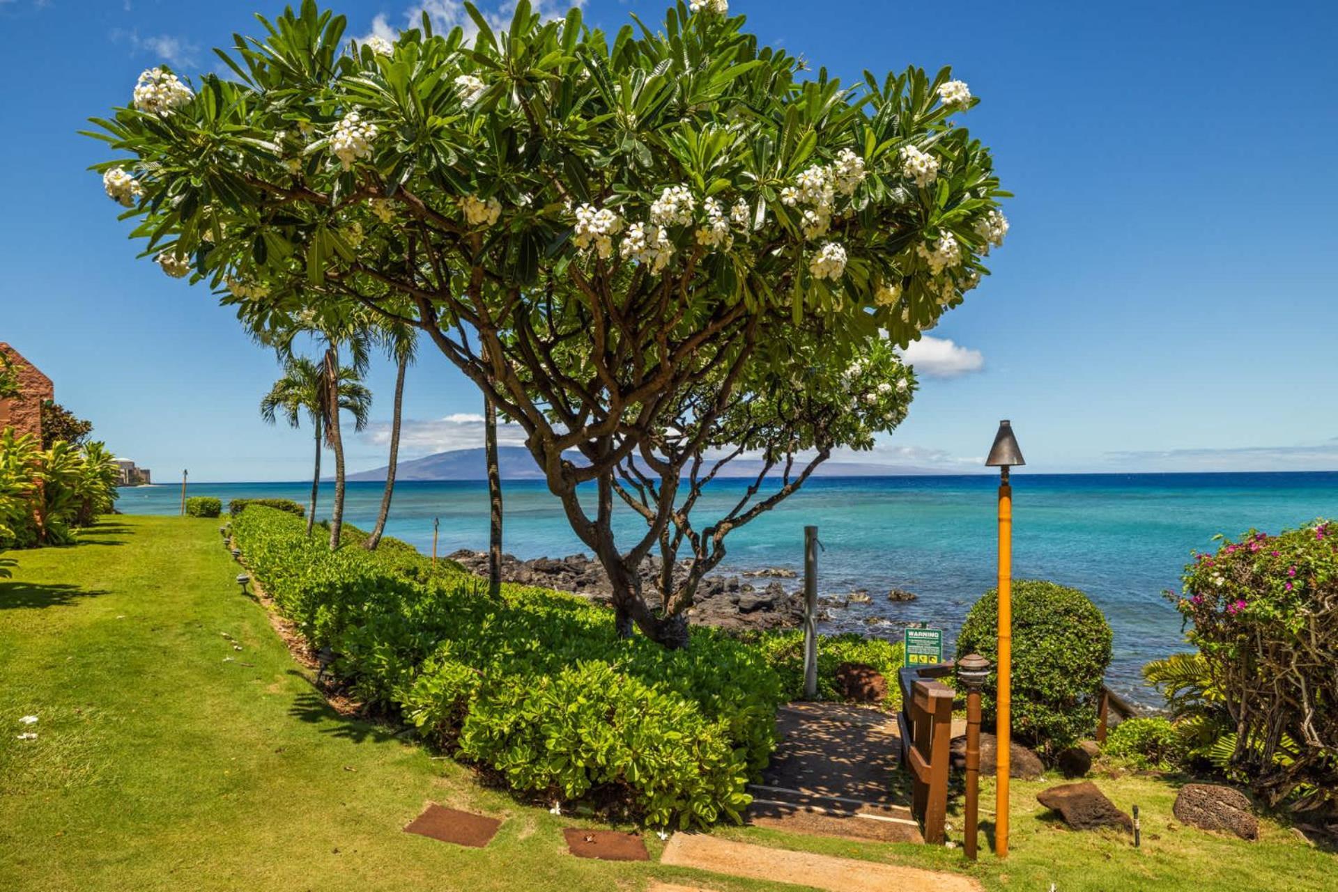 Kuleana Club #707 Oceanfront - 1 Bedroom & 1 Bathroom - Ground Floor Kahana Exteriér fotografie